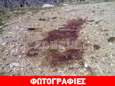 Φωκίδα: Σπείρα σφάζει και κλέβει ζώα κτηνοτρόφων-Τους επικήρυξαν για 10.000 ευρώ