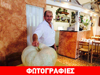 Κολοκύθες γίγας στην Κρήνη Τρικάλων Κολοκύθες γίγας στην Κρήνη Τρικάλων