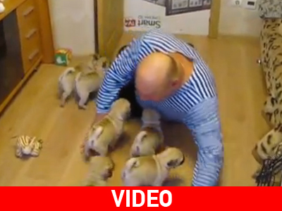 Ένας ξεχωριστός τρόπος να λέει καλημέρα στα κουτάβια του