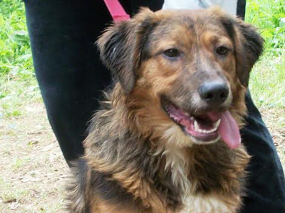 Χαρίζεται ο Μάιλο