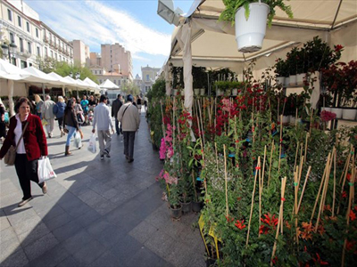 Από το Σάββατο η Ανθοκομική Έκθεση του Δήμου Αθηναίων