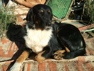 Ο Bono αναζητά μια ζεστή αγκαλιά