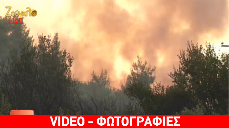 Πύρινη κόλαση στη Μαλακάσα-Συνεχείς αναζωπυρώσεις-Εκκενώθηκαν κατασκηνώσεις Πύρινη κόλαση στη Μαλακάσα-Συνεχείς αναζωπυρώσεις-Εκκενώθηκαν κατασκηνώσεις