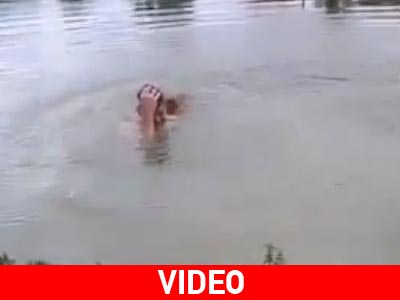 Όταν ο σκύλος σώζει το αφεντικό του