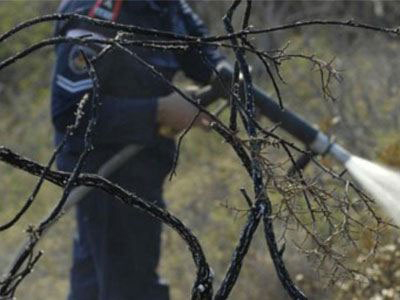 Υπό μερικό έλεγχο η πυρκαγιά στα Καρδάμυλα της Χίου