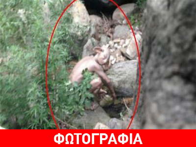 Δείτε τι φωτογράφισε Κινέζος τουρίστας