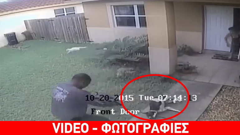 Σκληρές εικόνες: Αστυνομικός στις ΗΠΑ εκτελεί σκύλο εν ψυχρώ