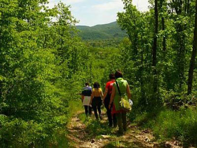 Πεζοπορία: Σας γεμίζει ενέργεια και ευεξία!