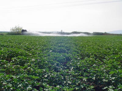 Μνημόνιο συνεργασίας Αλβανίας – Βραζιλίας στον τομέα της γεωργίας