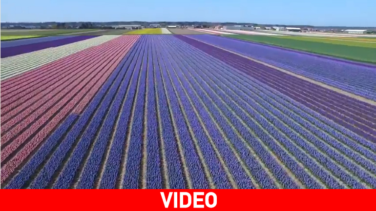 O «κήπος της Ευρώπης» από ψηλά