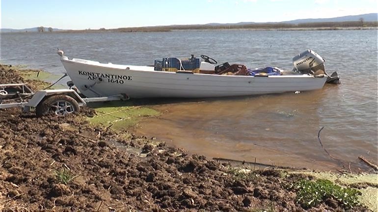 Σέρρες: Τα ψάρια βγήκαν στα χωράφια