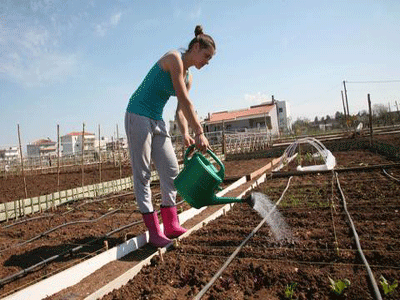 Μέχρι 30 Απριλίου αιτήσεις για τον δημοτικό λαχανόκηπο Έδεσσας