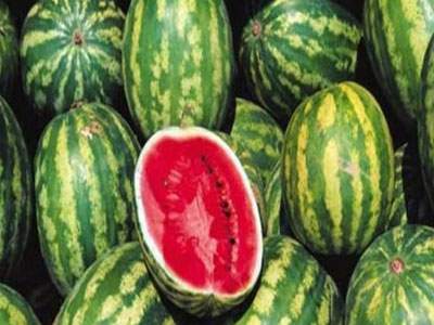 Συνεχίζονται οι έλεγχοι σε φορτία με καρπούζια