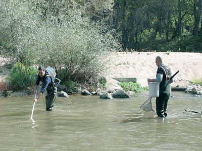 Επικίνδυνο κάδμιο από τη Βουλγαρία στον ποταμό Νέστο