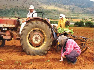 Σοβαρές καταγγελίες από τον αγροτικό σύλλογο Τυμπακίου