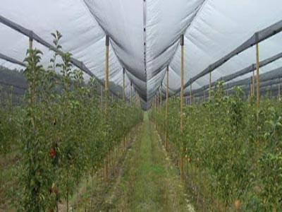 Στο μισό ο προϋπολογισμός για τα αντιχαλαζικά του 2011