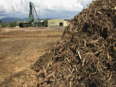 Καρδίτσα: Προς υλοποίηση το εργοστάσιο βιομάζας