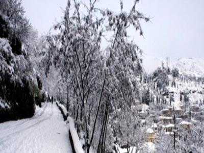Αίσιο τέλος για  κτηνοτρόφο στην Καρδίτσα