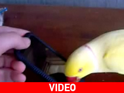 Προσπαθεί να μάθει να χρησιμοποιεί το κινητό