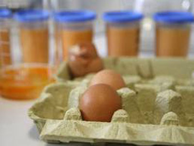 Αυστηρότερους ελέγχους στις ζωοτροφές ζητεί η Κομισιόν