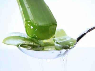 Aloe Vera: Βάλσαμο για τα μαλλιά σας