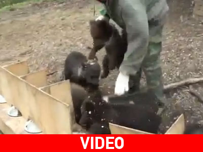 Ώρα για ένα καλό πρωινό