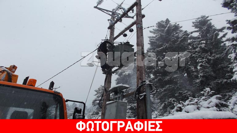 Σαρώνει ο χιονιάς στη Φωκίδα- Βλάβες στο δίκτυο ηλεκτροδότησης