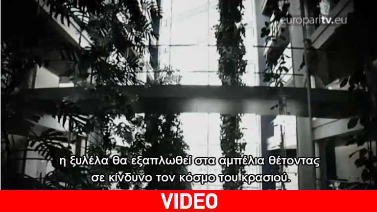 Τα ελαιόδεντρα της Ιταλίας απειλούνται