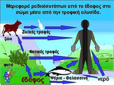 Έρευνα: «Η ραδιενέργεια απειλεί την τροφική αλυσίδα»
