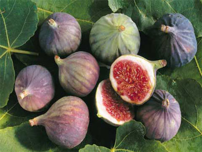 Ζημιές στα σύκα Μεσσήνης έφερε ο καύσωνας