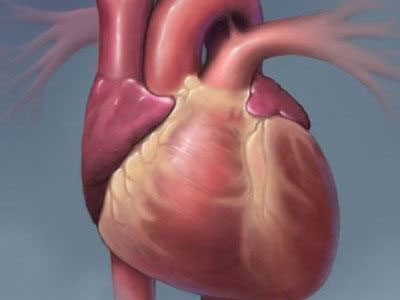 Ο κίνδυνος για καρδιοπάθεια εξαρτάται από την ομάδα αίματος