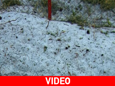 Αρκαδία: Χαλάζι προκάλεσε ζημιές σε αγροτικές περιοχές