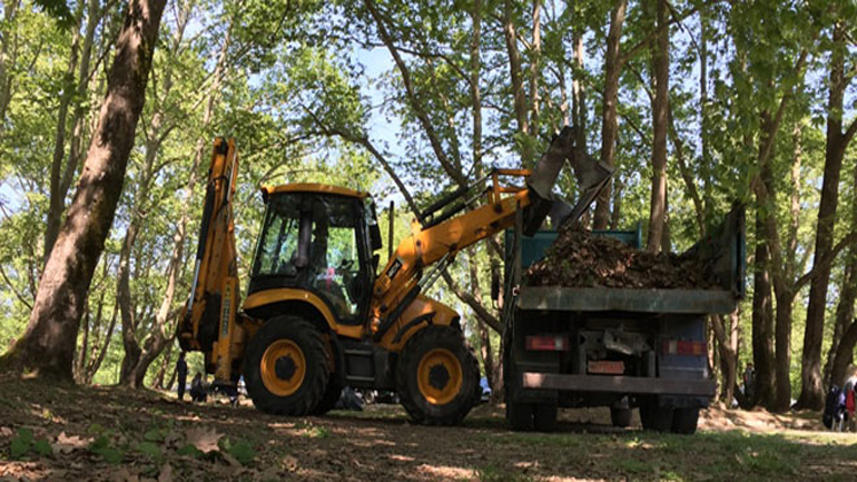 Tρίκαλα: Kαθάρισαν το δάσος στο Διαλεχτό