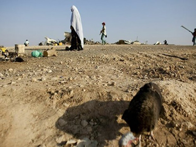 Aίγυπτος: Bρέθηκε αποκεφαλισμένο πτώμα στο Σινά