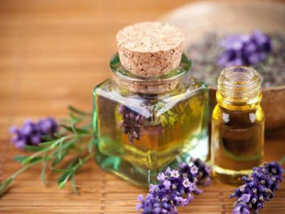 Άγριο τριαντάφυλλο: Καταπολεμεί την γήρανση του δέρματος