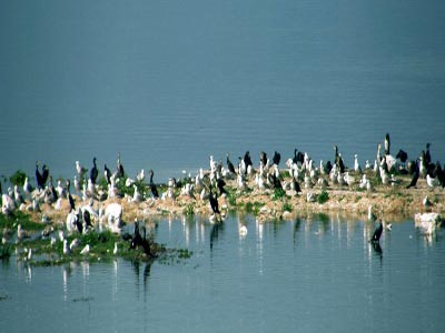 Προβληματισμός για την στάθμη της Κάρλας