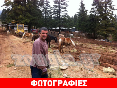 Σε απόγνωση οι κτηνοτρόφοι της Γκιώνας