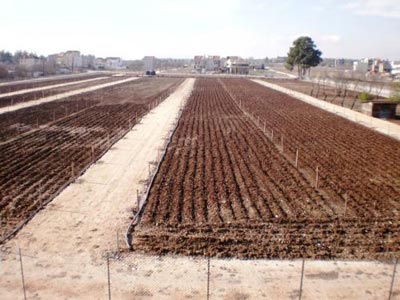 Συνολικά 200 νέες θέσεις εργασίας στον Δημοτικό Λαχανόκηπο της Λάρισας