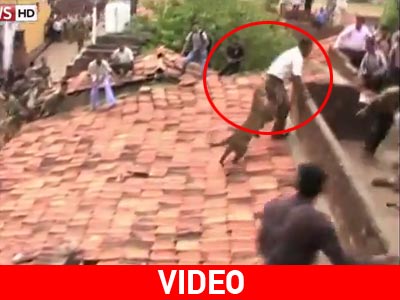 Ινδία: Κρυμμένη λεοπάρδαλη χύμηξε στο πλήθος