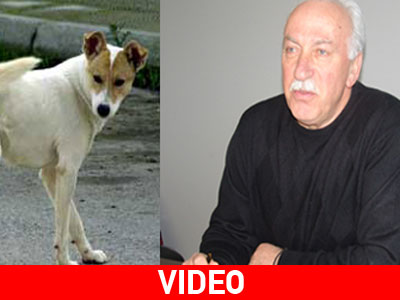 Το σχέδιο για τα αδέσποτα στην Τρίπολη