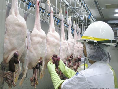 Σάμος: Ανοίγει προσωρινά το μοναδικο σφαγείο