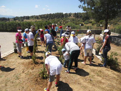 Δενδροφύτευση από μαθητές στην Τρίπολη