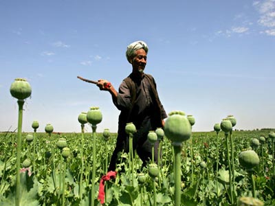 Αφγανιστάν: Η χώρα εξαρτάται όλο και περισσότερο από το όπιο