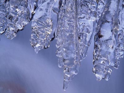 Ναύπλιο: Ζημιές στις καλλιέργειες από τον παγετό