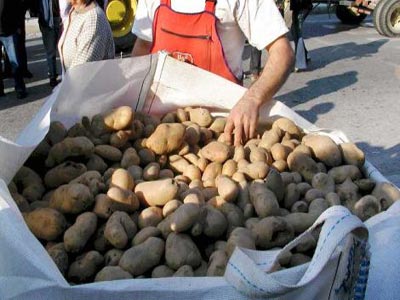 Σε απόγνωση οι πατατοπαραγωγοί στο Αμύνταιο