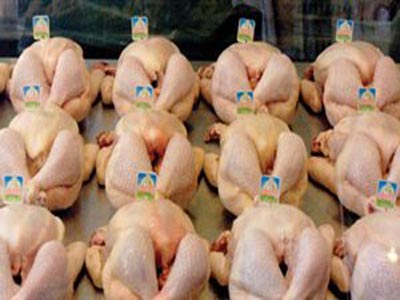 Πρόγραμμα για την καταπολέμηση της σαλμονέλας στα πουλερικά