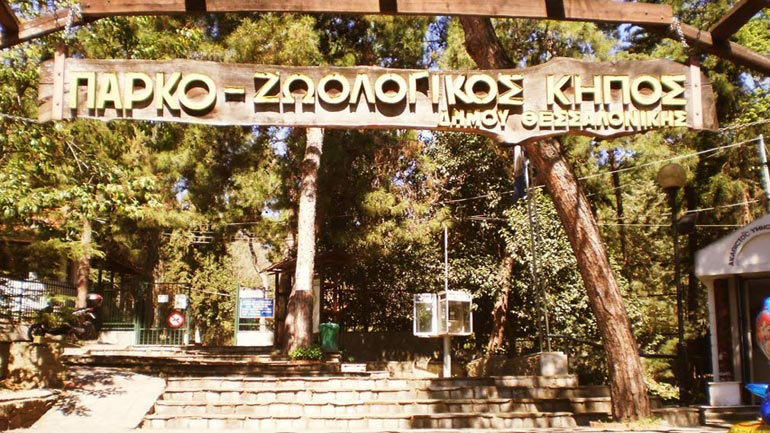 Λύκοι και αρκούδες απελευθερώθηκαν από τον Ζωολογικό Κήπο Θεσσαλονίκης