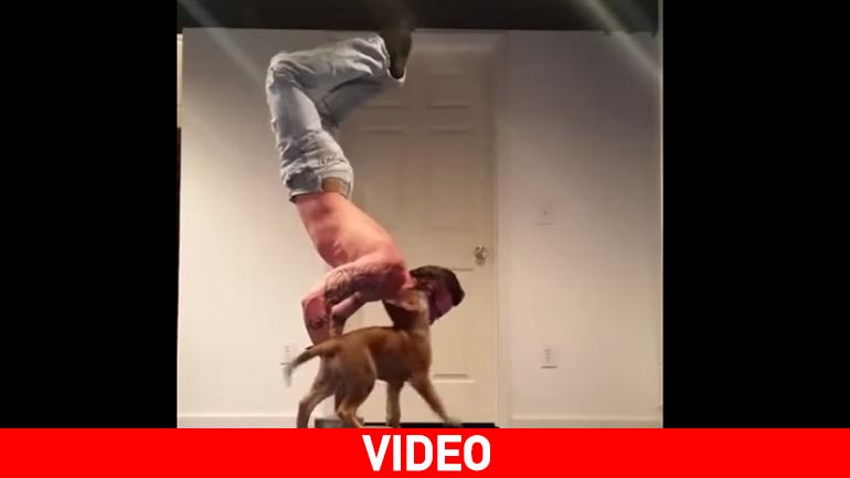 Πονηρός σκύλος διακόπτει τη γυμναστική του αφεντικού του