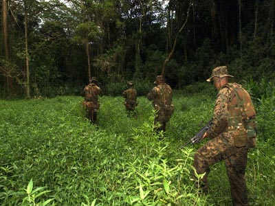 Κολομβία: Μονομερής κατάπαυση του πυρός από τους αντάρτες ενόψει προεδρικών εκλογών