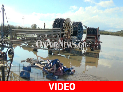 Καταστροφές σε καλλιέργειες από την βροχόπτωση στο Μεσολόγγι